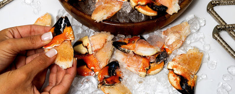 Jonah crab claws for sale
