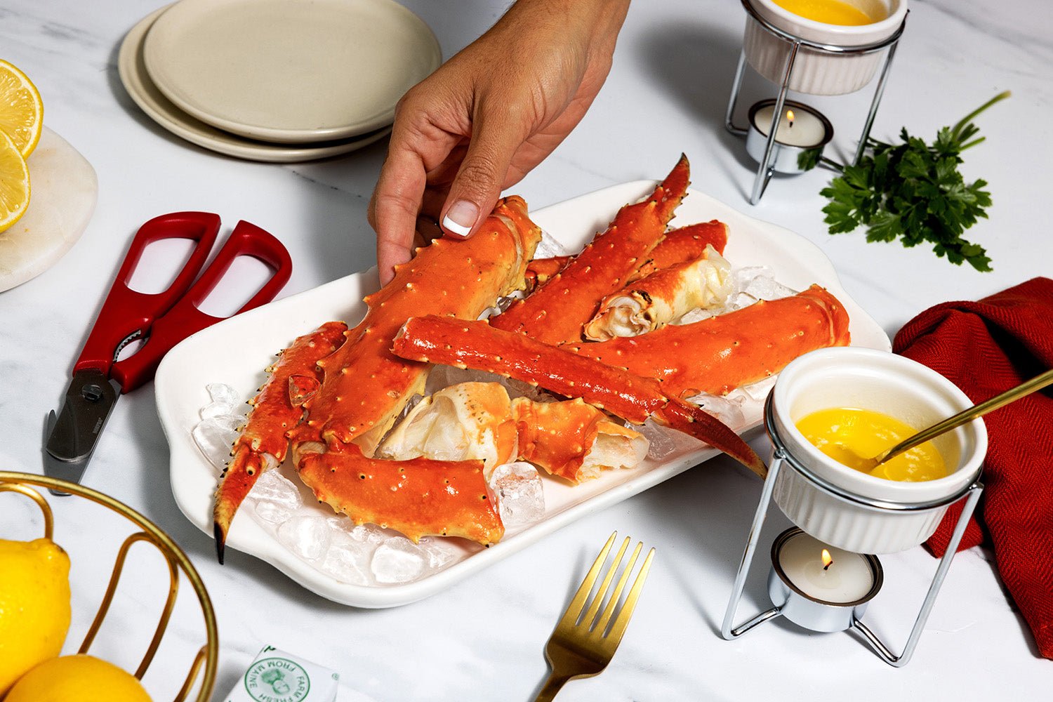 Seafood Specials Cheap Lobster & Seafood Shipped Overnight Maine