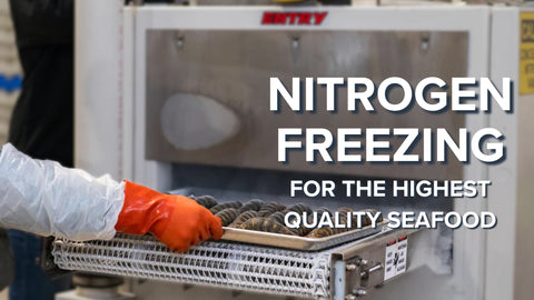 Nitrogen freezing seafood explainer