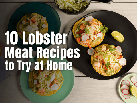 10 Mouth-Watering Lobster Meat Recipes to Try at Home - Maine Lobster Now