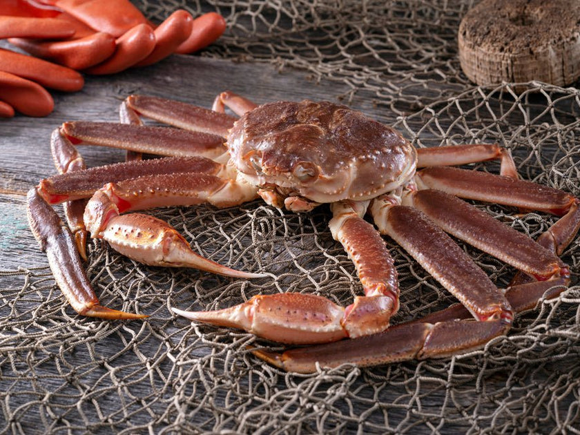 2024/25 Bering Sea Crab Season Increased Quotas and Snow Crab Revival