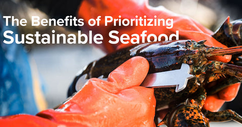 5 Important Benefits of Prioritizing Sustainable Seafood - Maine Lobster Now