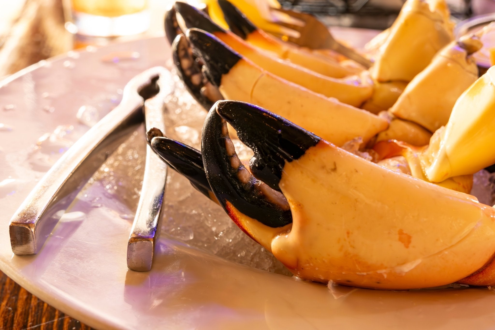 Florida Stone Crab Season Dates, Regulations, and Sustainable Practices