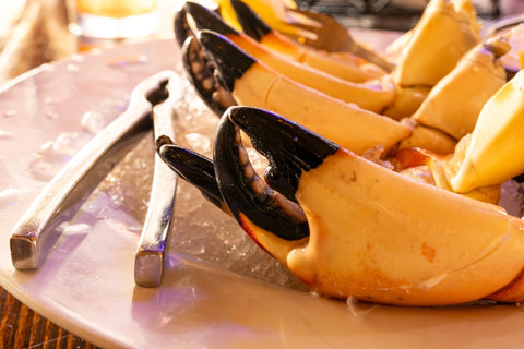 Florida Stone Crab Season: A Complete Guide to Harvesting, Regulations, and Sustainability - Maine Lobster Now