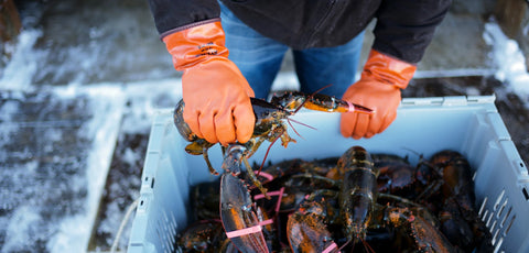Buy Maine seafood online