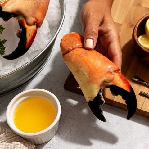 Stone Crab Claws For Sale | Wild-Caught & Sustainably Sourced – Maine