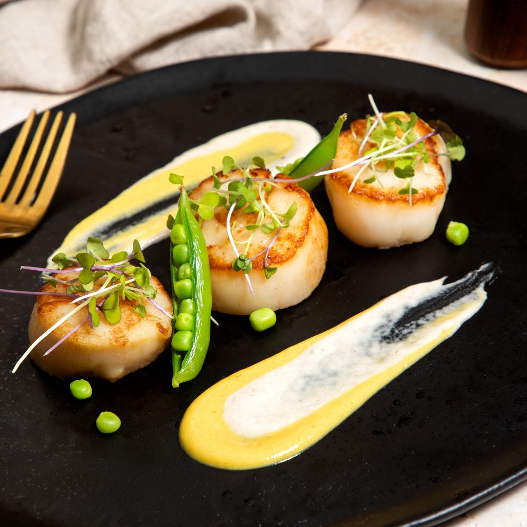 Buy Jumbo Dry Maine Dayboat Scallops Online Maine Lobster Now
