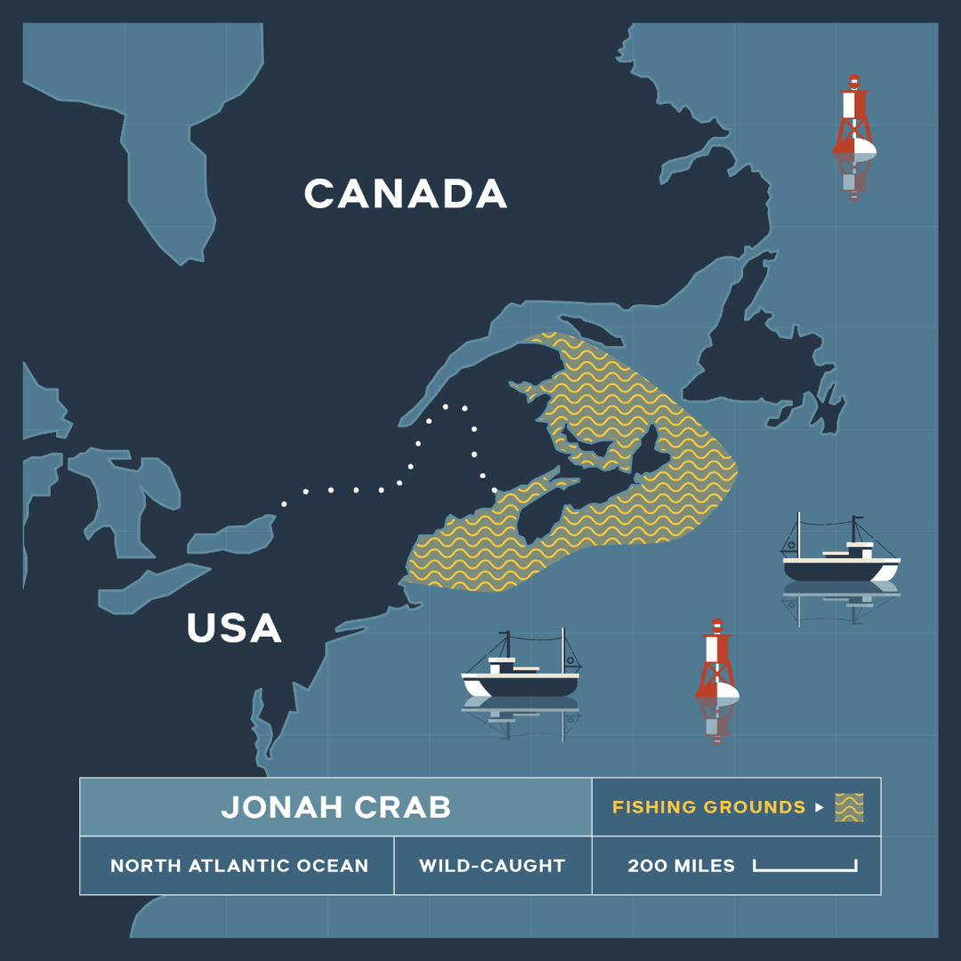 Maine Crab Roll Kit (6Pack) Fresh Jonah Crab Rolls Delivered Maine Lobster Now