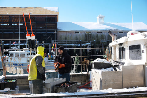 Julian unloading lobster boat