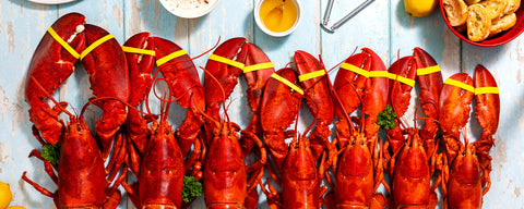 Maine lobster done right.