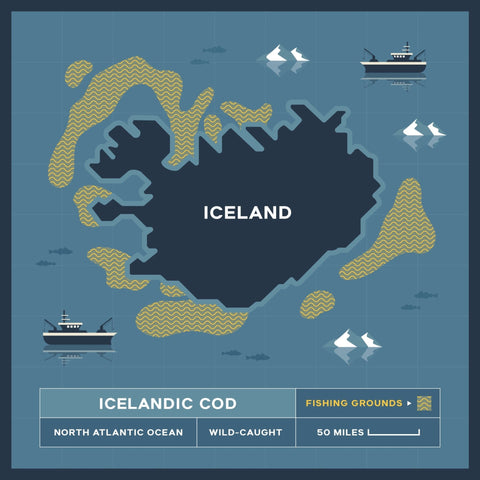 Wild-Caught Icelandic Cod Loin - 16-20 oz. - Maine Lobster Now