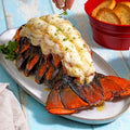 20-24 oz. North Atlantic Lobster Tail - Maine Lobster Now