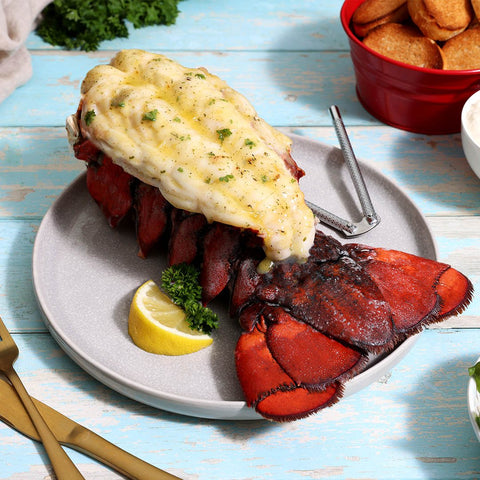 24-28 oz. North Atlantic Lobster Tail - Maine Lobster Now