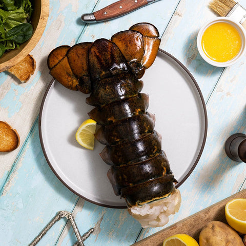 28-32 oz. North Atlantic Lobster Tail - Maine Lobster Now