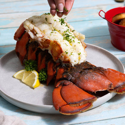 28-32 oz. North Atlantic Lobster Tail - Maine Lobster Now