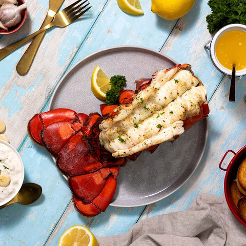 32-36 oz. North Atlantic Lobster Tail - Maine Lobster Now