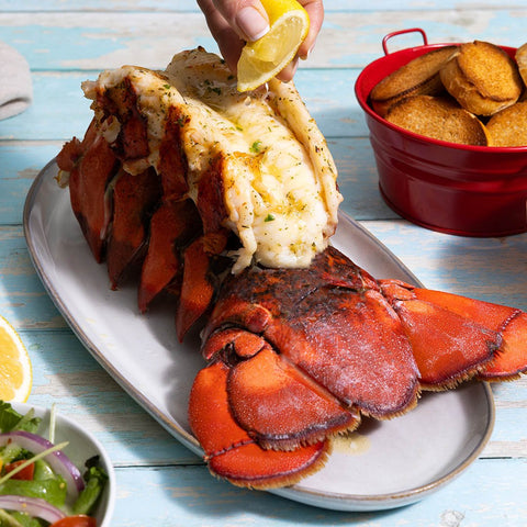 32-36 oz. North Atlantic Lobster Tail - Maine Lobster Now