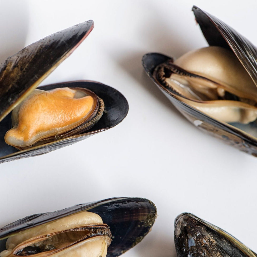Bangs Island Mussels for Sale Buy Maine Mussels Online