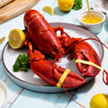 1.75 lb Live Maine Lobster - Maine Lobster Now