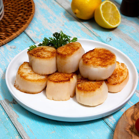 Giant Sea Scallops - U-8 - 1 lb (Diver Scallops) - Maine Lobster Now