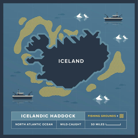 Jumbo Icelandic Haddock Fillets - 16-20 oz. (x2) - Maine Lobster Now