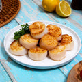 Jumbo Sea Scallops - U-10- 1 lb (Diver Scallops) - Maine Lobster Now