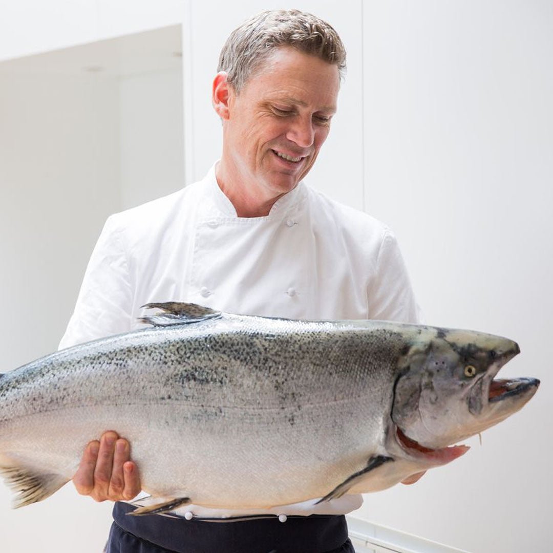 Ora King Salmon For Sale Free Overnight Shipping Maine Lobster Now