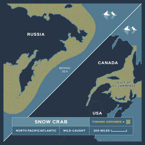 Super Colossal Snow Crab - 2 x 14 oz - 16 oz Clusters - Maine Lobster Now