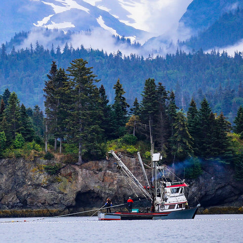 Wild Alaskan Sockeye Salmon - 8 oz. - Maine Lobster Now