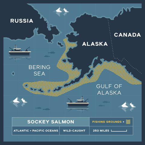 Wild Alaskan Sockeye Salmon - 8 oz. - Maine Lobster Now