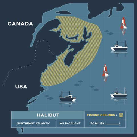 Wild-Caught Halibut Fillet - North Atlantic - 16-18 oz. - Maine Lobster Now