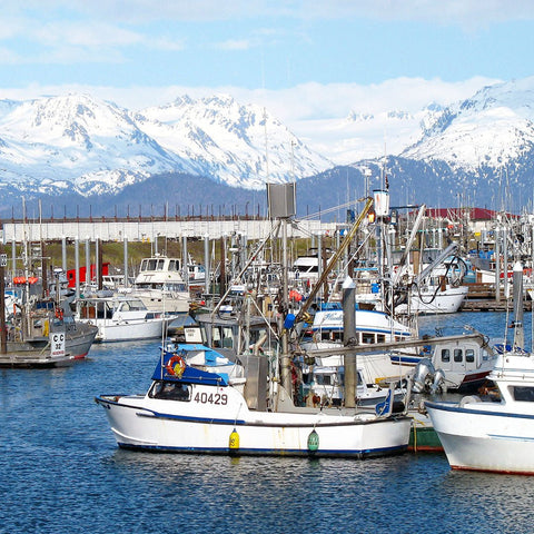 Wild-Caught Halibut Fillet - North Atlantic - 16-18 oz. - Maine Lobster Now