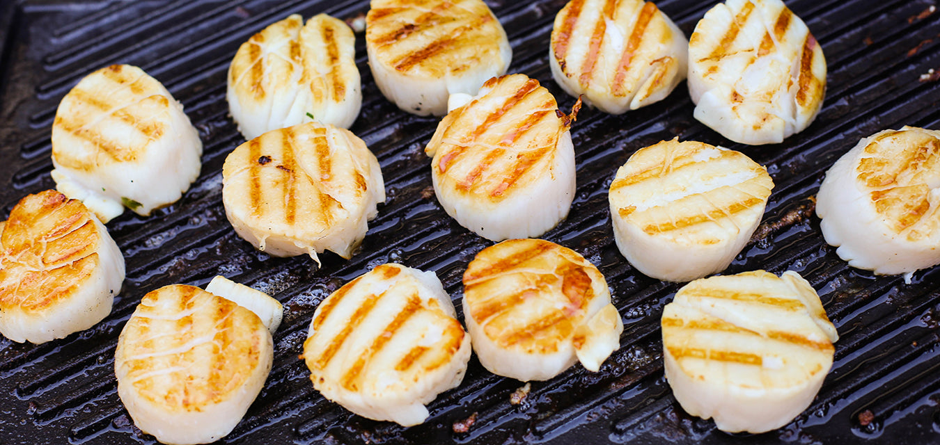 Quick Scallop Guide