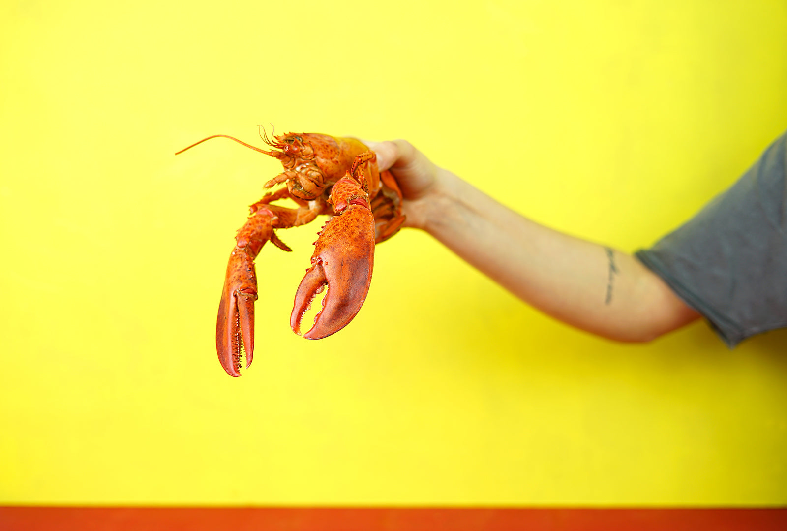 A Taste of Lobster History