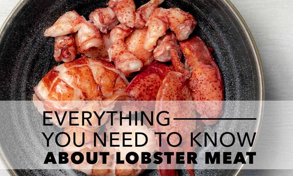 lobster meat